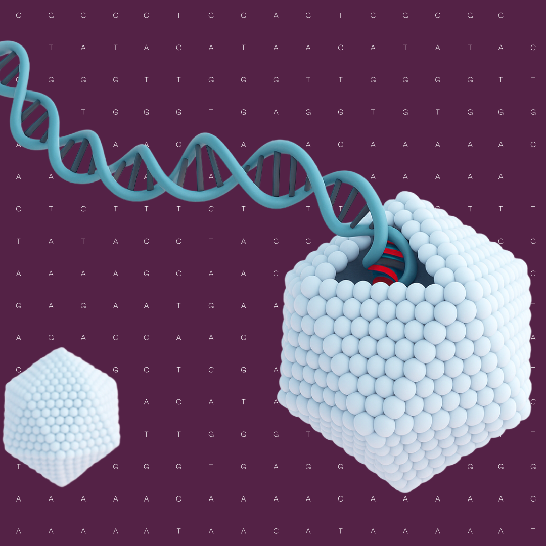 Innovations in AAV gene therapy