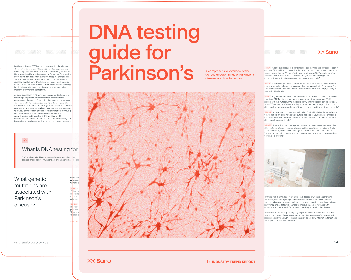 dna testing guide image