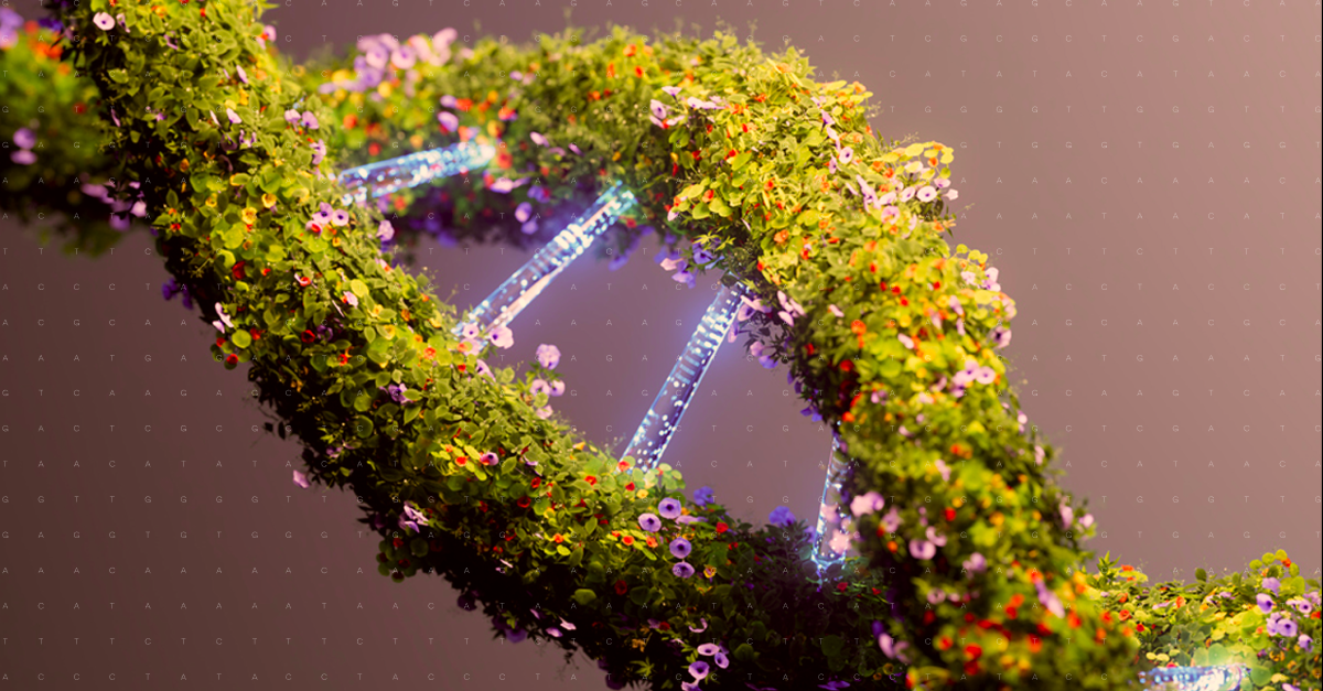 FDA and precision medicine