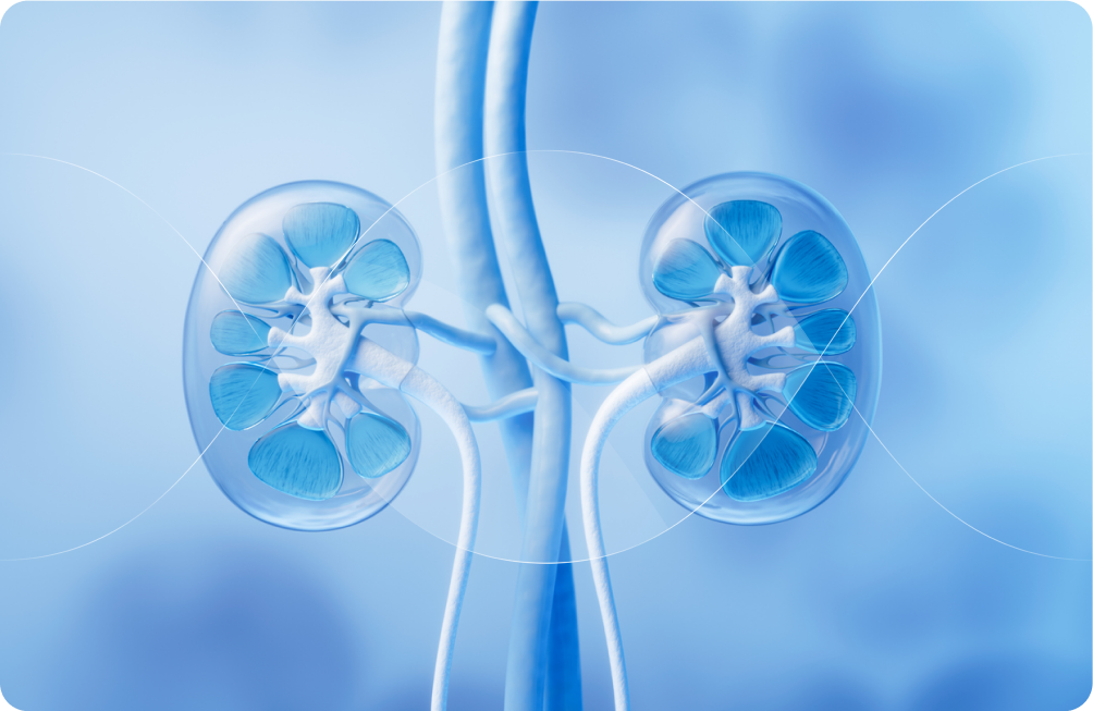 kidney disease